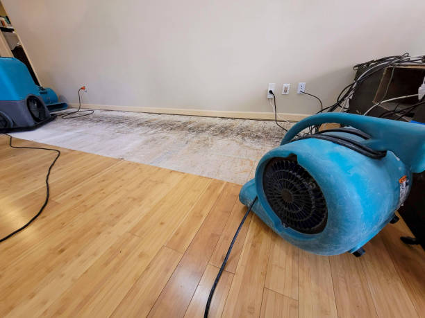 Professional Structural Drying technician working in Albany, CA
